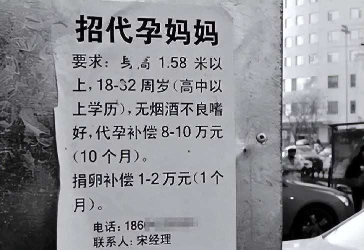 供卵试管代孕犯法吗