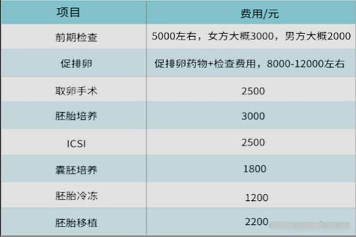 试管供卵代孕的全包费用